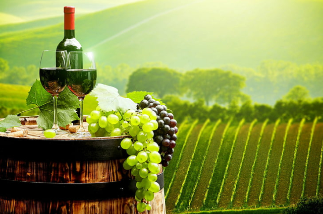Wine and gastronomy