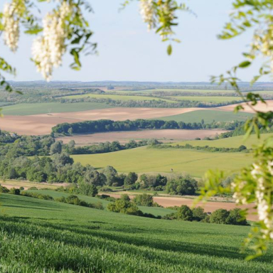 Naselje